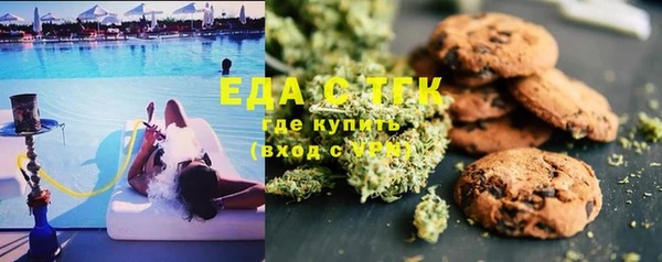 ECSTASY Алзамай