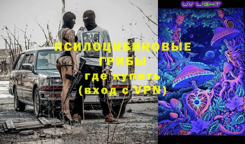 Галлюциногенные грибы Psilocybe  Адыгейск 